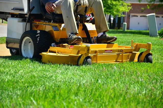 Must-Know Lawn Care Hacks to Transform Your Yard This Season